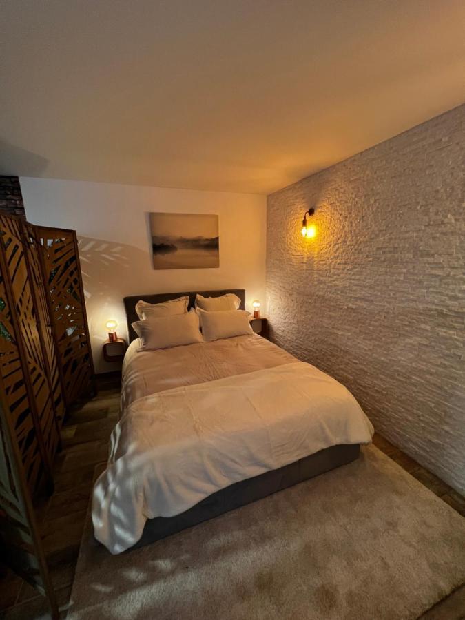 Appartement Superbe Appart Avec Jardin Prive Proche Paris à Nogent-sur-Seine Extérieur photo