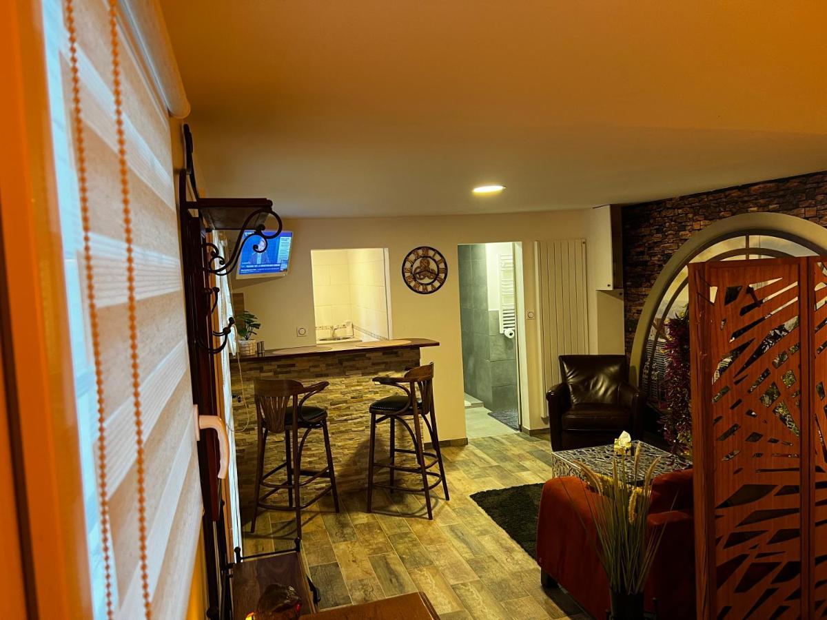 Appartement Superbe Appart Avec Jardin Prive Proche Paris à Nogent-sur-Seine Extérieur photo